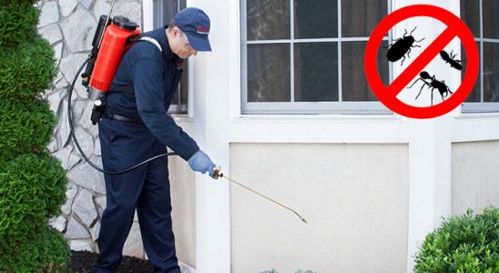 Espiye Bit İlaçlama böcek ilaçlama ve haşere kontrolü — ilaclama-tr.com